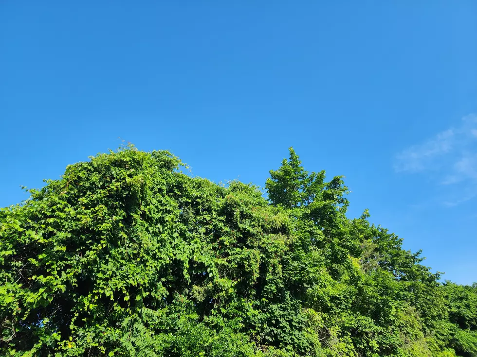 Sweet relief for NJ: Not as hot, not as humid, watching for storms