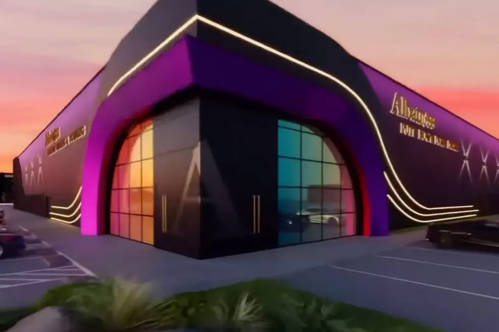 Albatross rendering