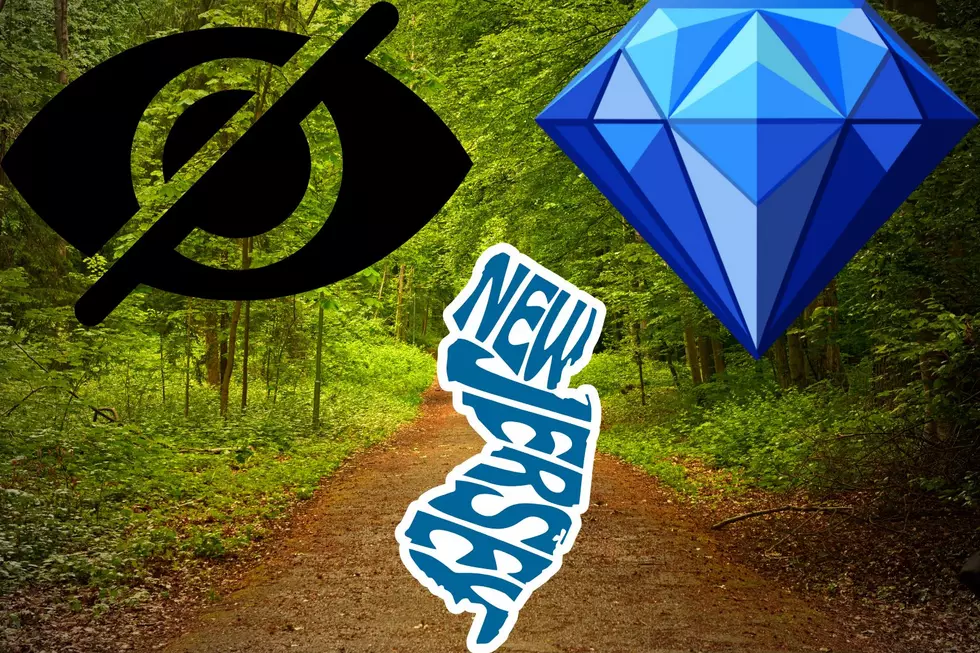 The hidden gem NJ hiking trail you never knew existed