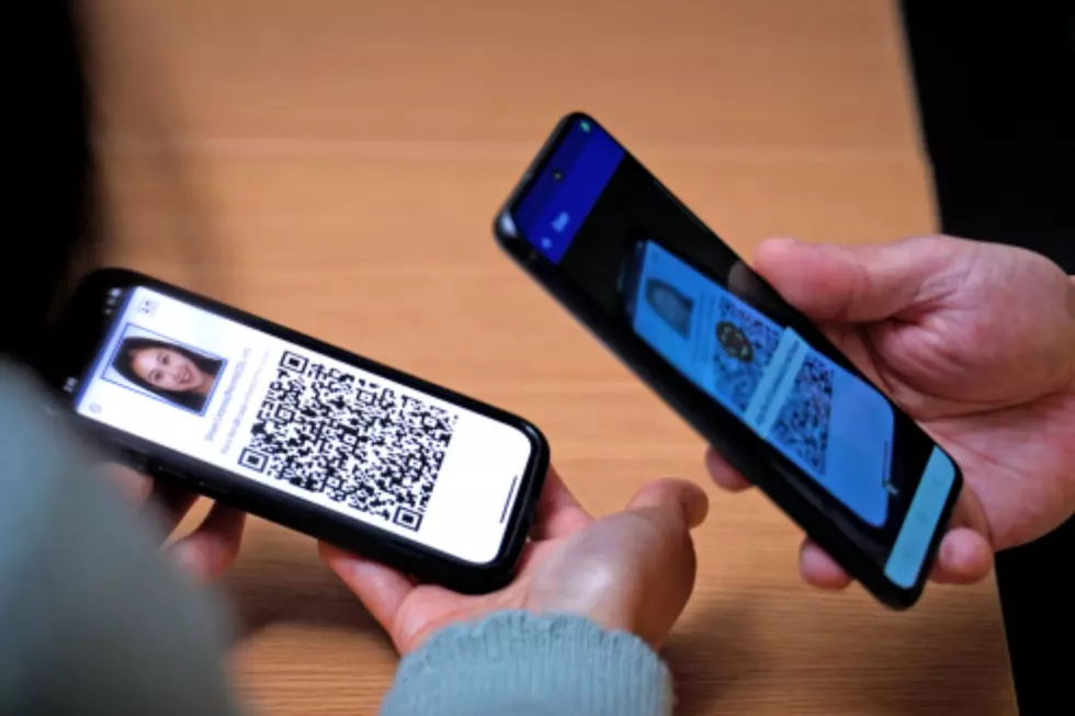 NJ has new law to offer digital drivers licenses (Photo: dmv.ny.gov)