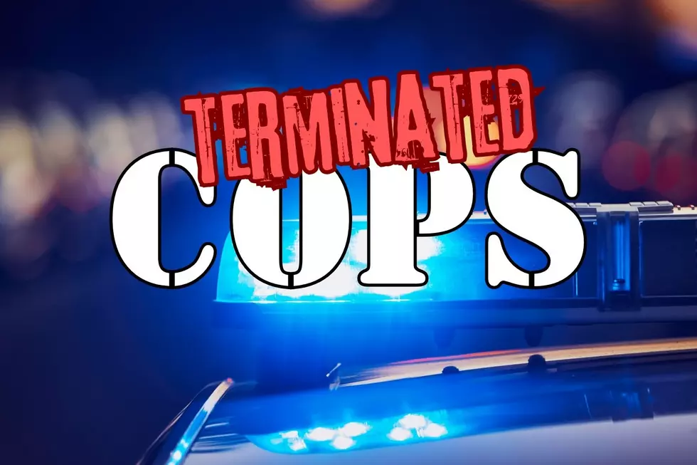 Corruption, abuse, stupidity — 90 terminated cops in New Jersey