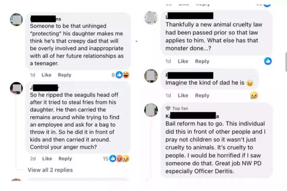 Screenshots of social media comments regarding killing of seagull in North Wildwood, NJ (Facebook)