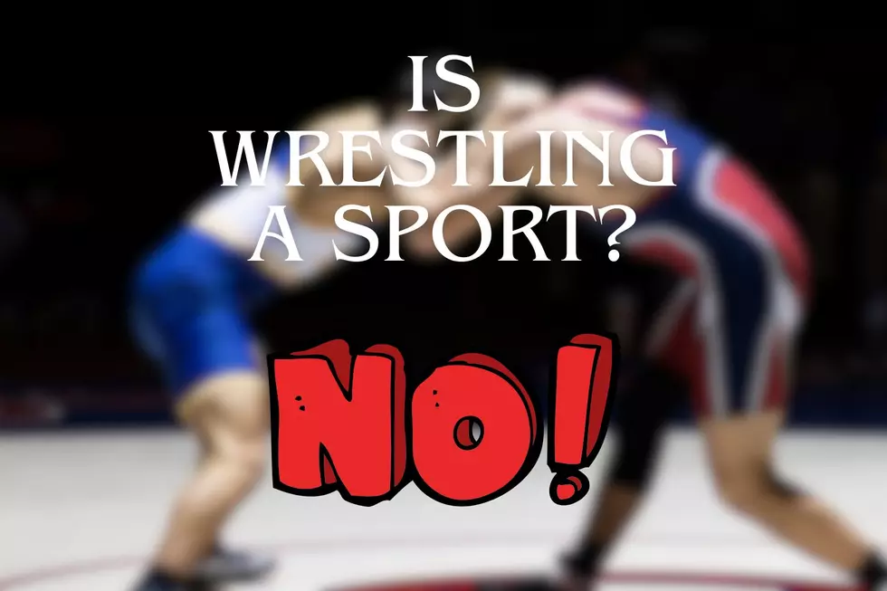 Wrestling, Is Wrestling a sport?, NO
