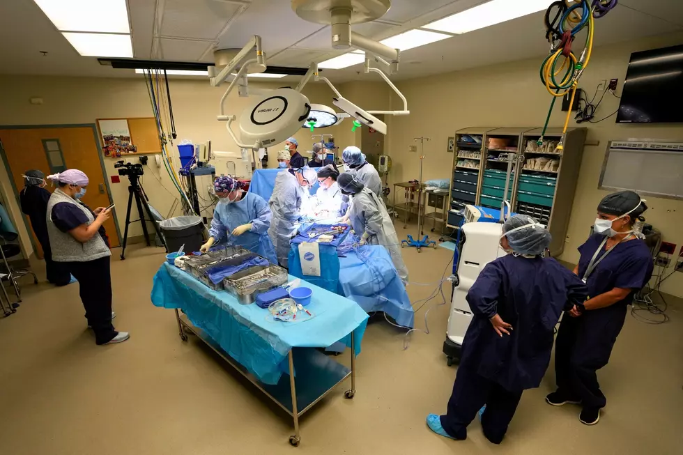 Students observe an organ recovery surgery