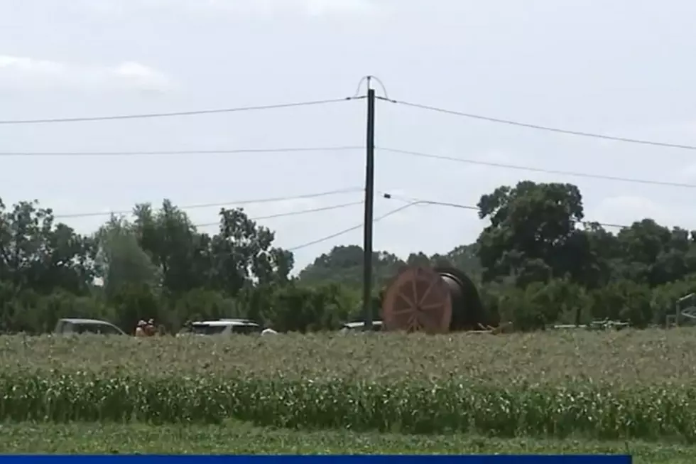 Hunter Farm in Cinnaminson 8/3/25