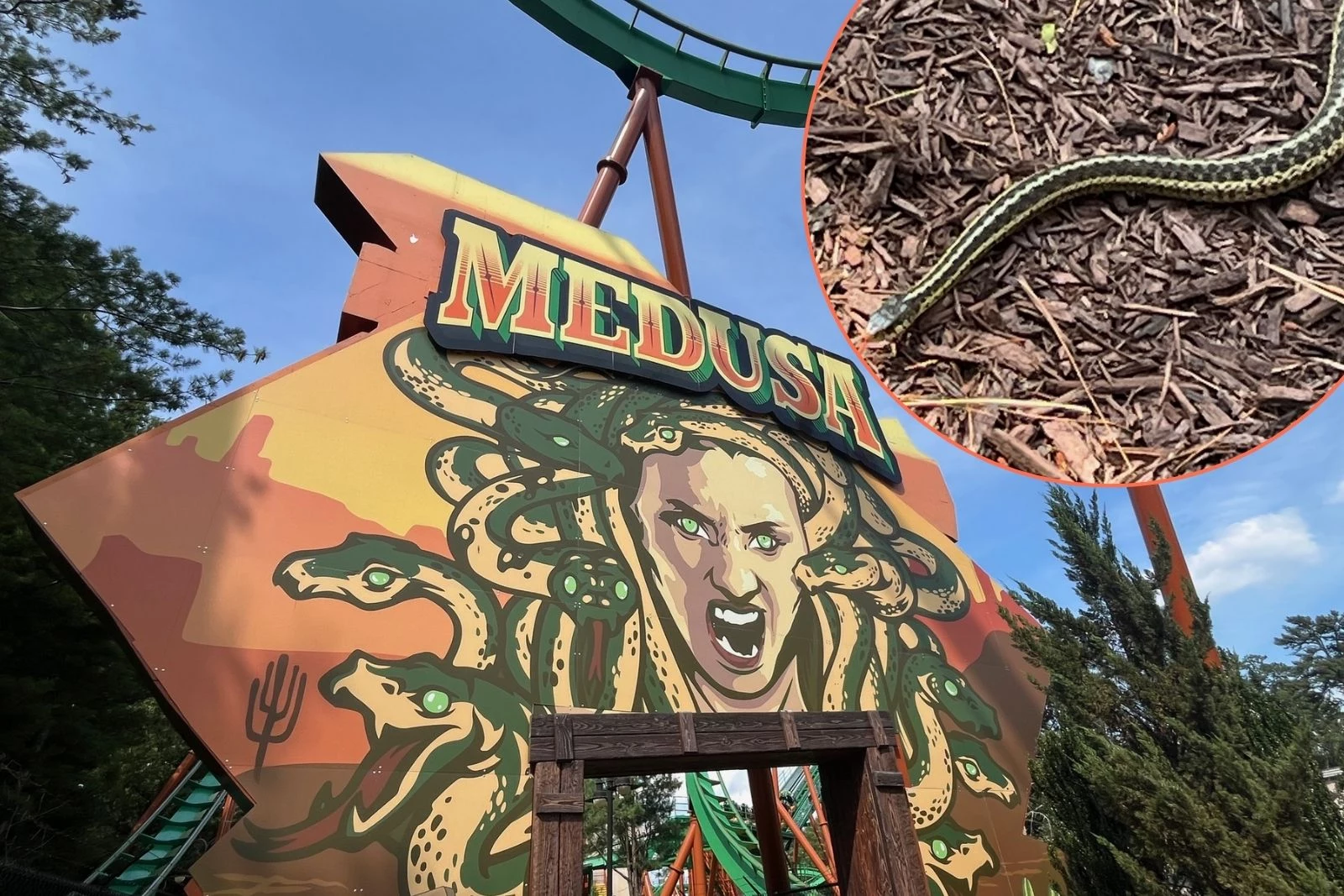 Unexpected snake sighting at Six Flags in Jackson, NJ