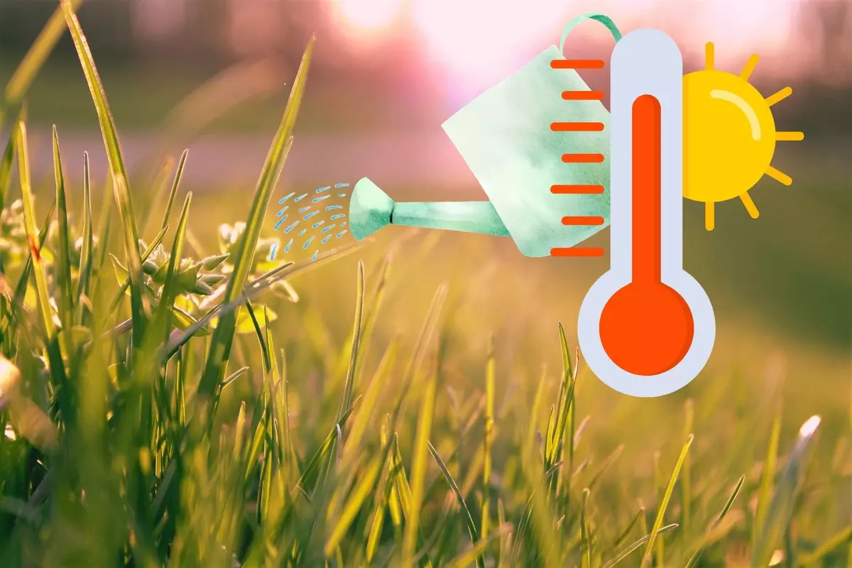 Can you legally water your lawn during a heat wave in NJ?