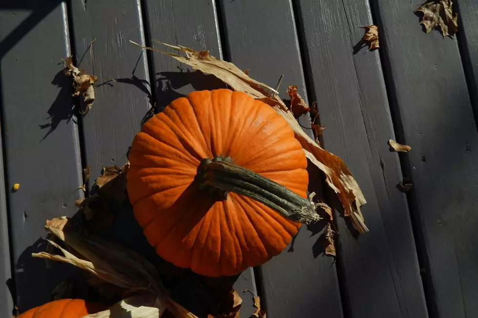 Pumpkin