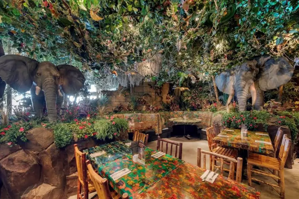 Google Maps/ Rainforest Cafe/ Canva/ Townsquare Media Illustrations