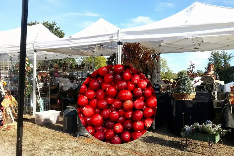 Chatsworth Cranberry Festival