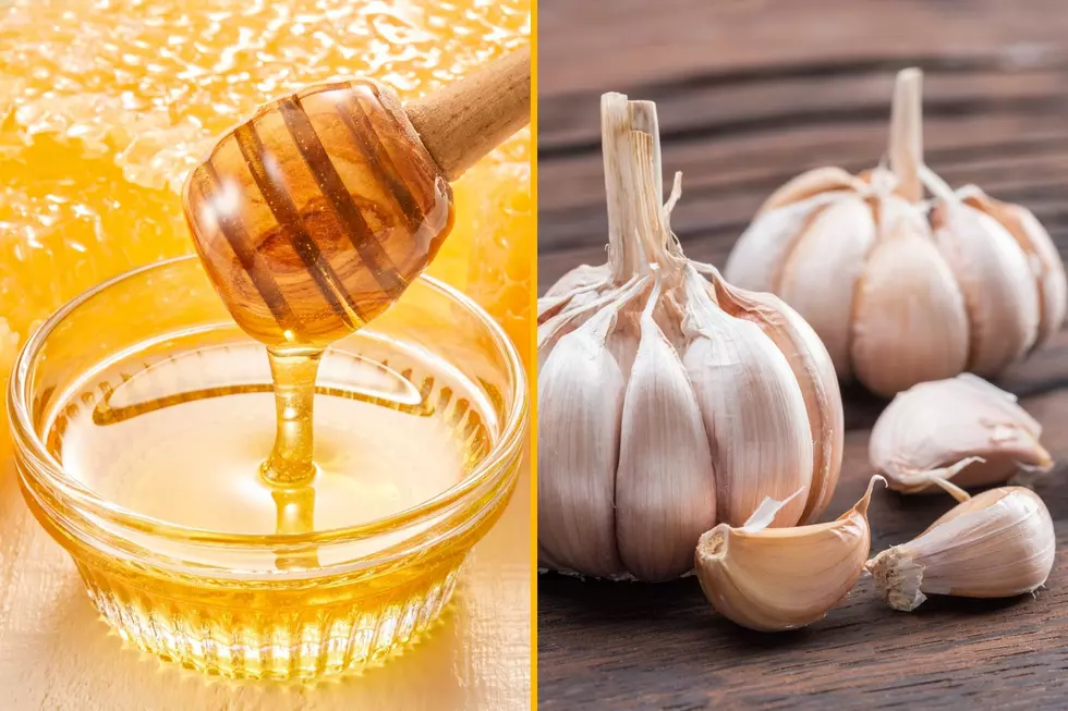 Sussex Harvest Honey and Garlic Festival