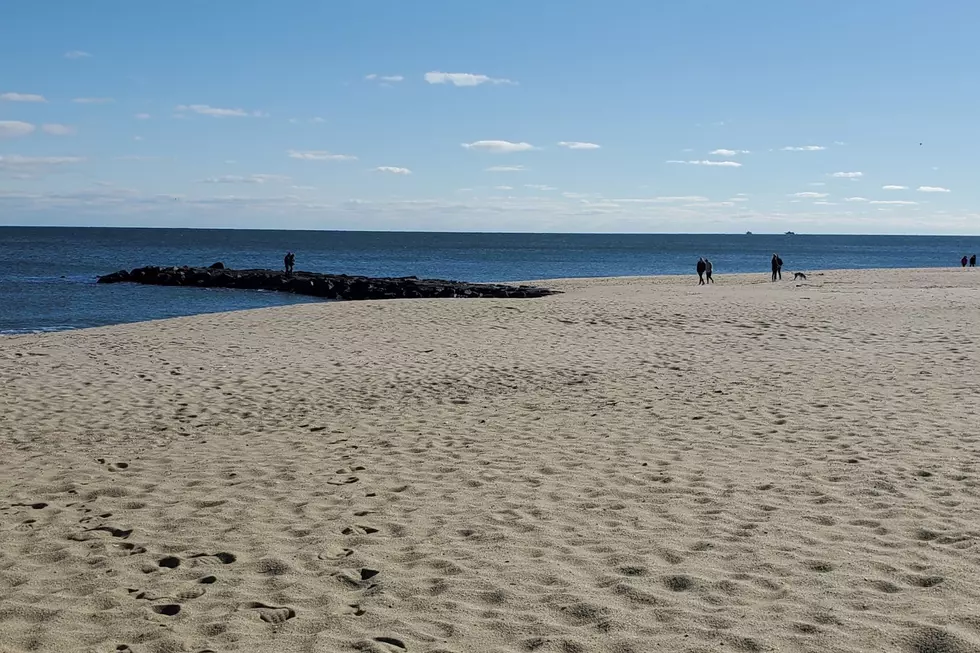 12 photos that show why local summer at the Jersey Shore is unmatched
