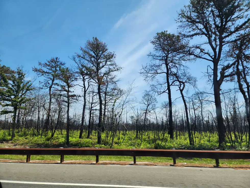 The next time you drive by mile markers 71 to 72 on the Parkway, take a look around. (Dan Zarrow, Townsquare Media)