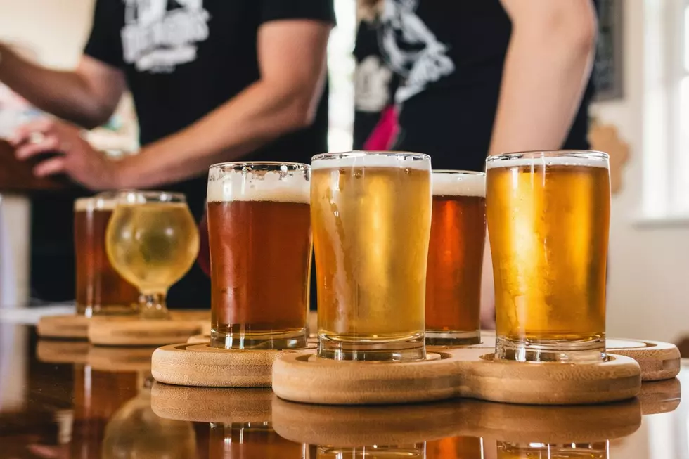 The Seed: A Living Beer Project