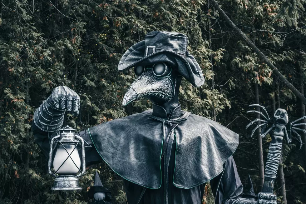 Halloween Decorations