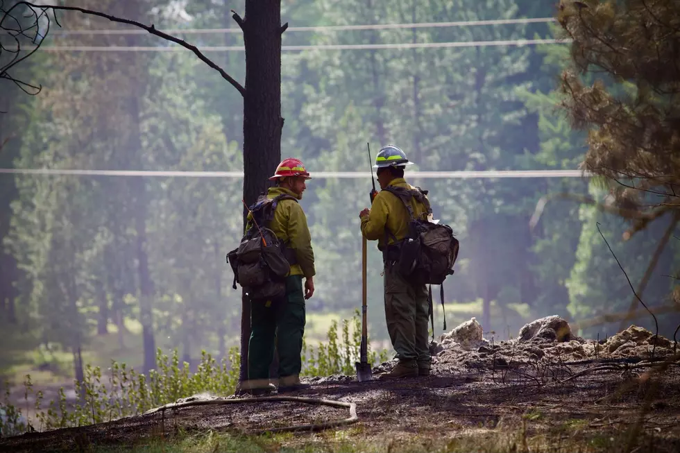 Forest fire inspectors and prevention specialists