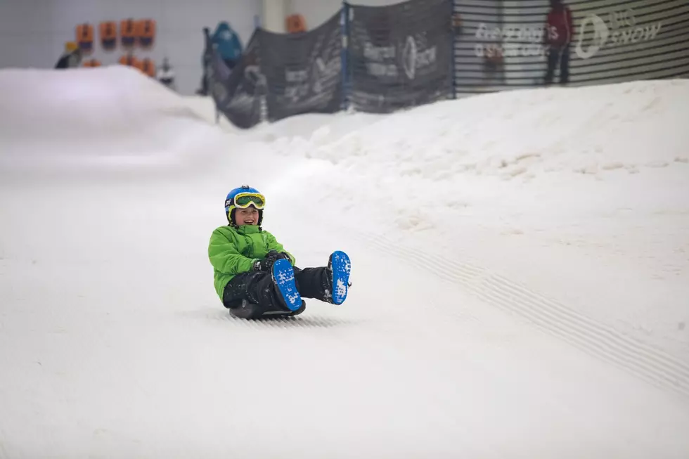Big Snow American Dream