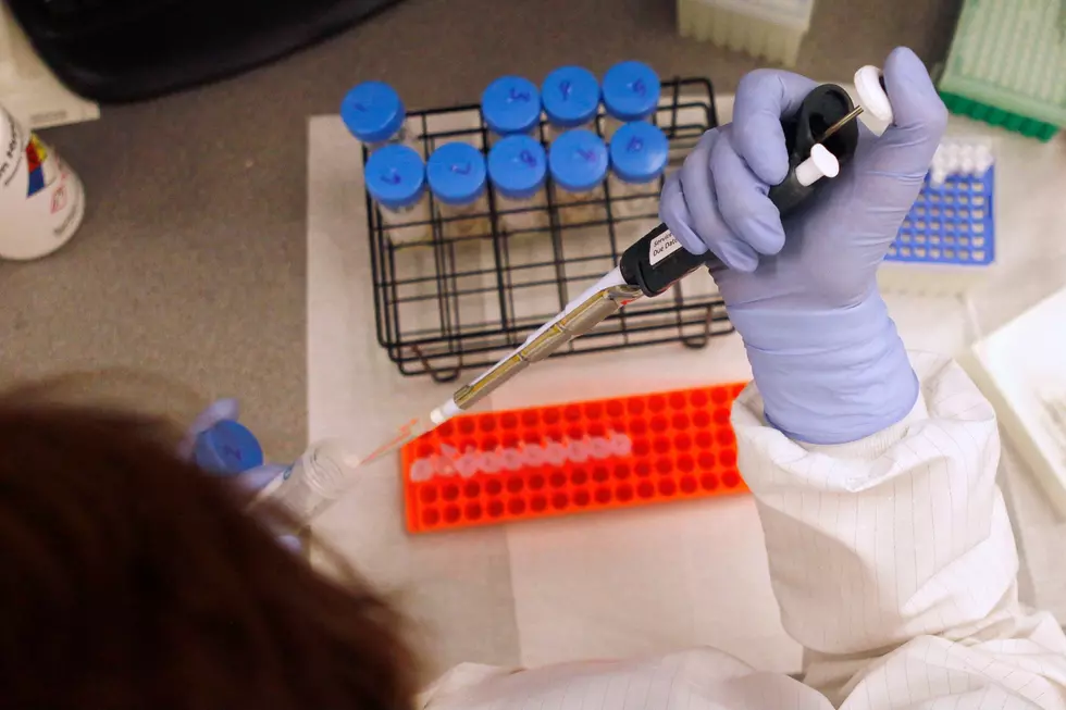 A senior DNA analyst extracts DNA from bone samples (AP Photo/Jacquelyn Martin)
