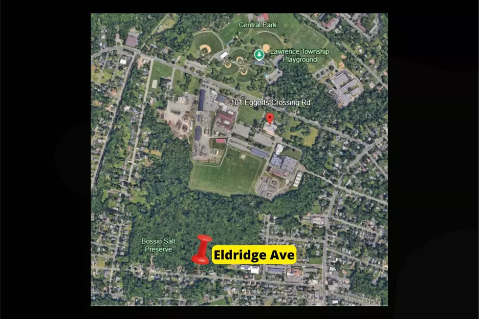 Map shows location of Bossio Salt Preserve and Eldridge Ave in Ewing