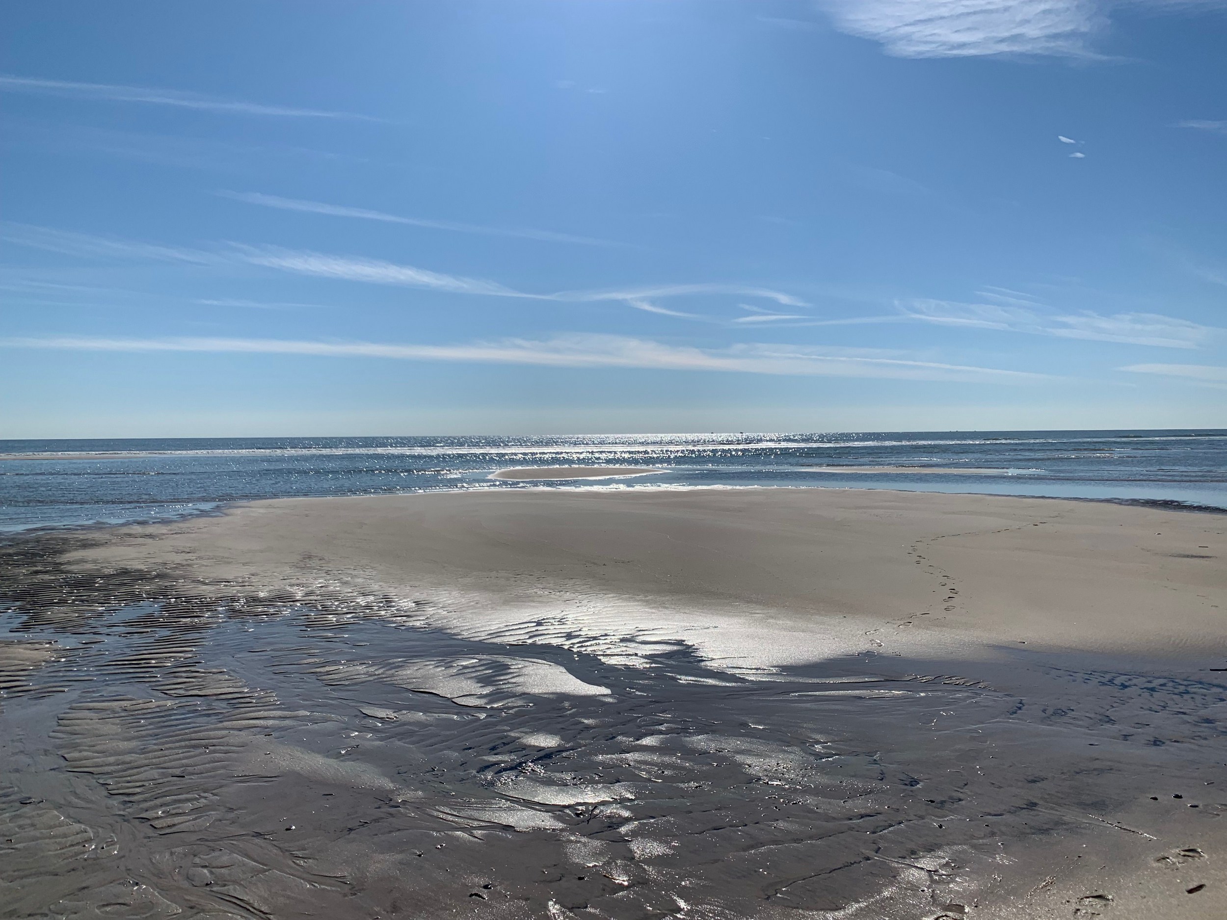 Mental health days are changing New Jersey workplaces