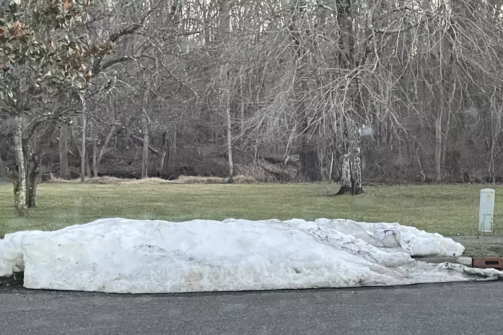 Snow Pile