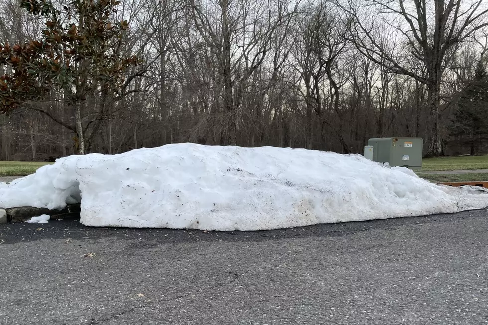 Snow Pile