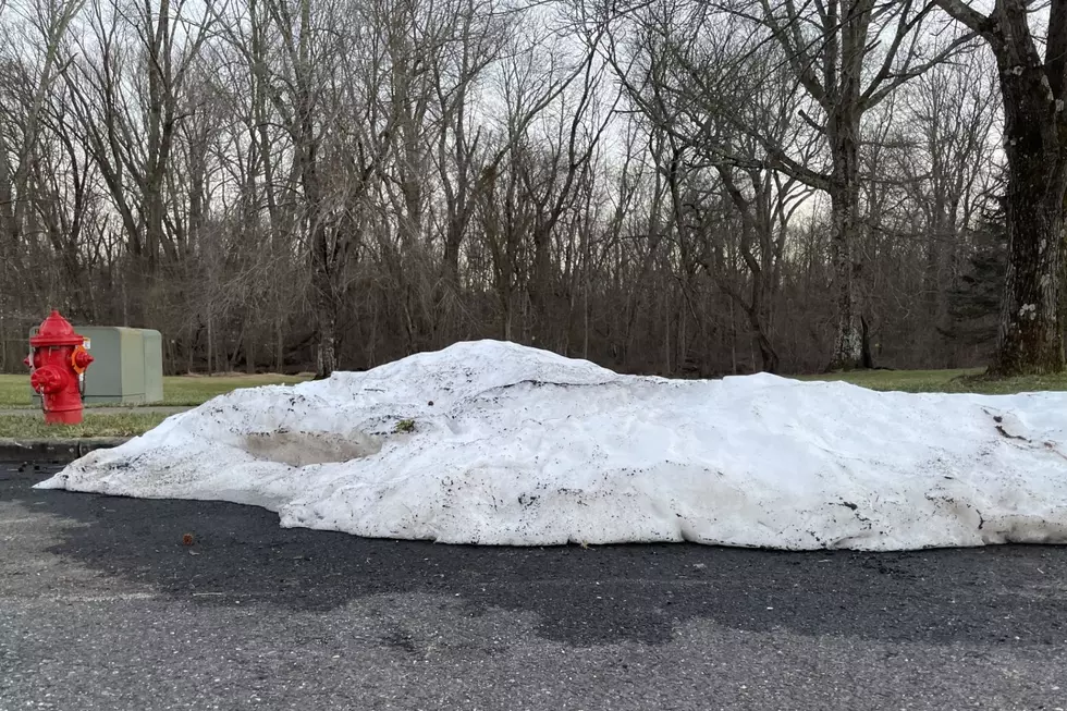 Snow Pile