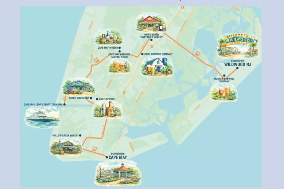 Coastal cruiser connects riders to various wineries, breweries and distilleries from Cape May to the Wildwoods this summer (Coastal Cruiser)