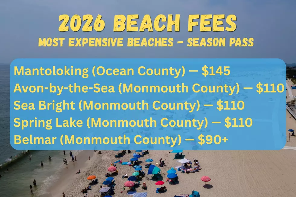 2026 beach fees (Canva/TSQ illustration)