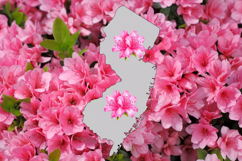 Azalea Festival (Canva)