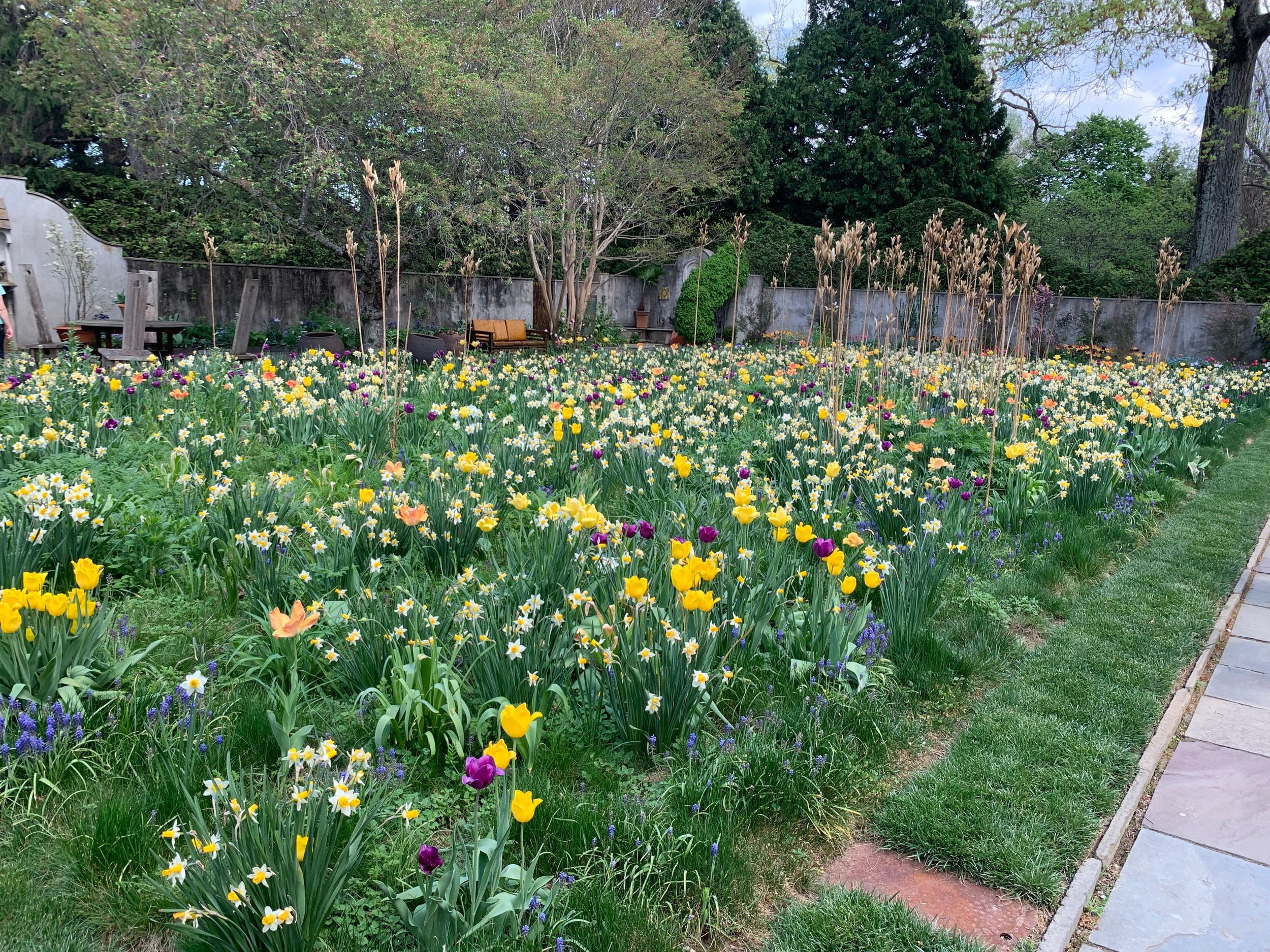 Mother’s Day is days away — here’s one idea for every NJ county