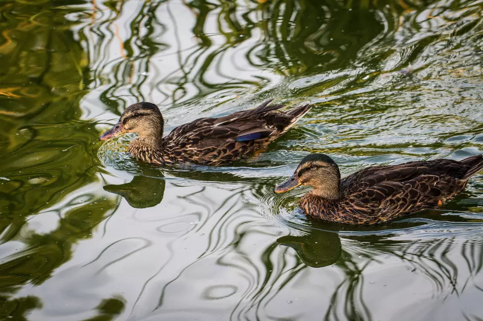 Photo by John Thomas on Unsplash