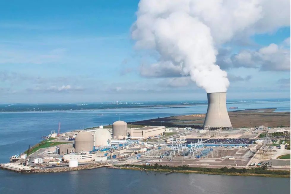 Salem and Hope Creek Nuclear Generating stations (PSE&G)