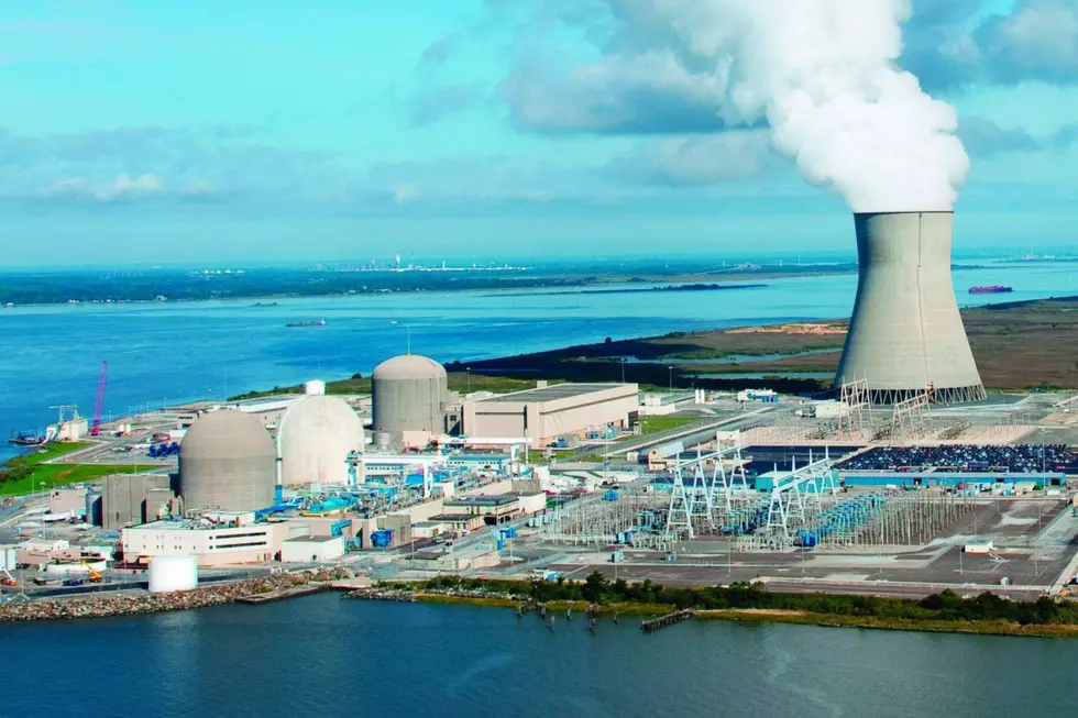 The Salem and Hope Creek Nuclear Generating stations in Lower Alloways Creek (PSE&G)