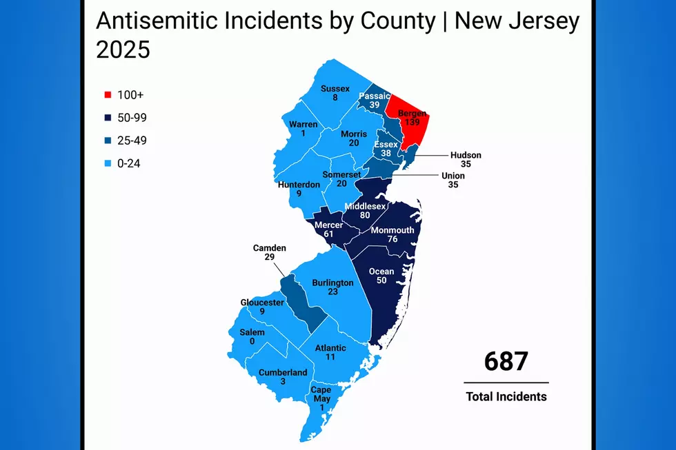ADL's 2025 Audit recorded antisemitic incidents in 20 of 21 New Jersey counties. (Anti-Defamation League of New York/New Jersey)