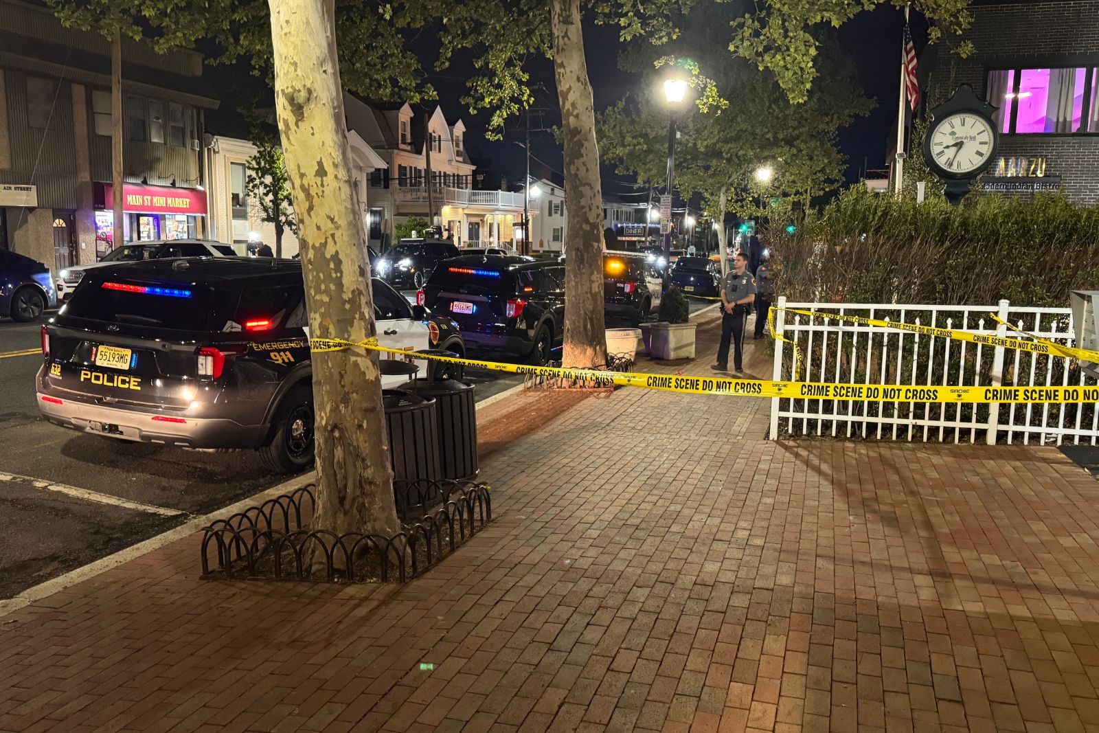 Library shooting rocks Freehold Borough