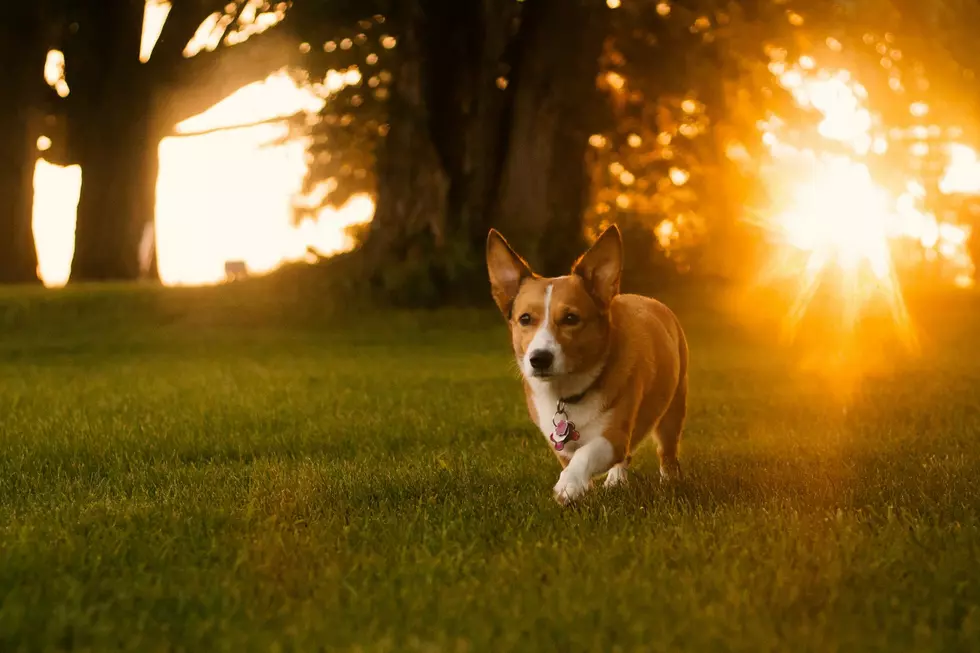 Photo by Jacob Van Blarcom on Unsplash