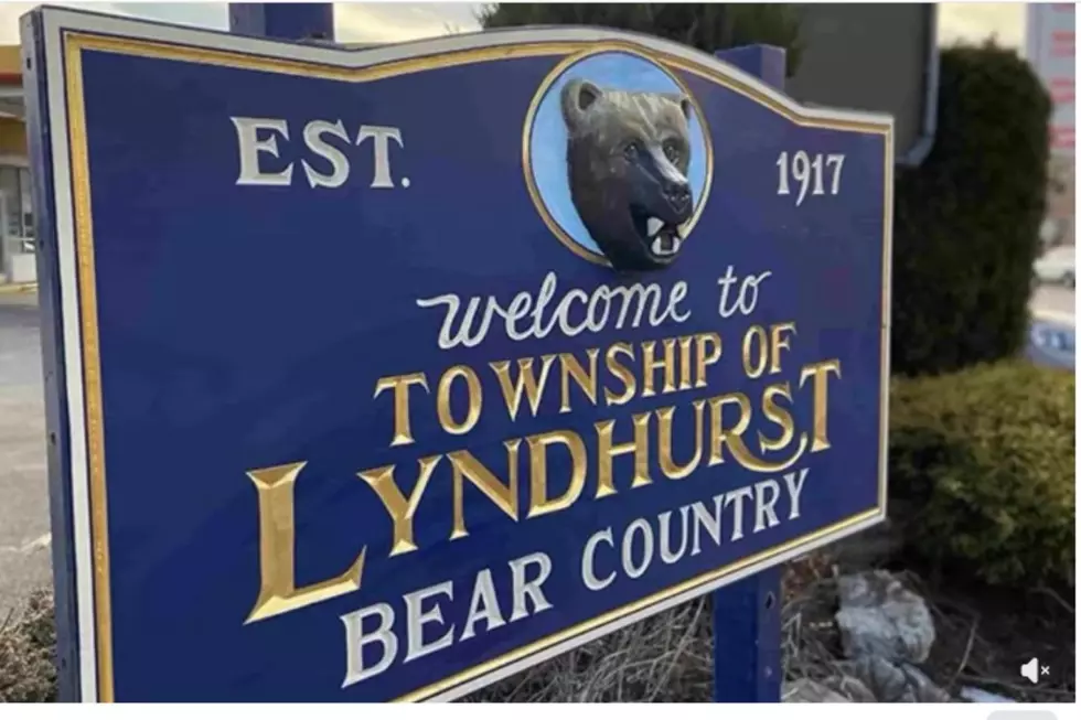 A bear was safely captured after roaming Lyndhurst neigborhoods (Screenshot via video from Lyndhurst Police Department)