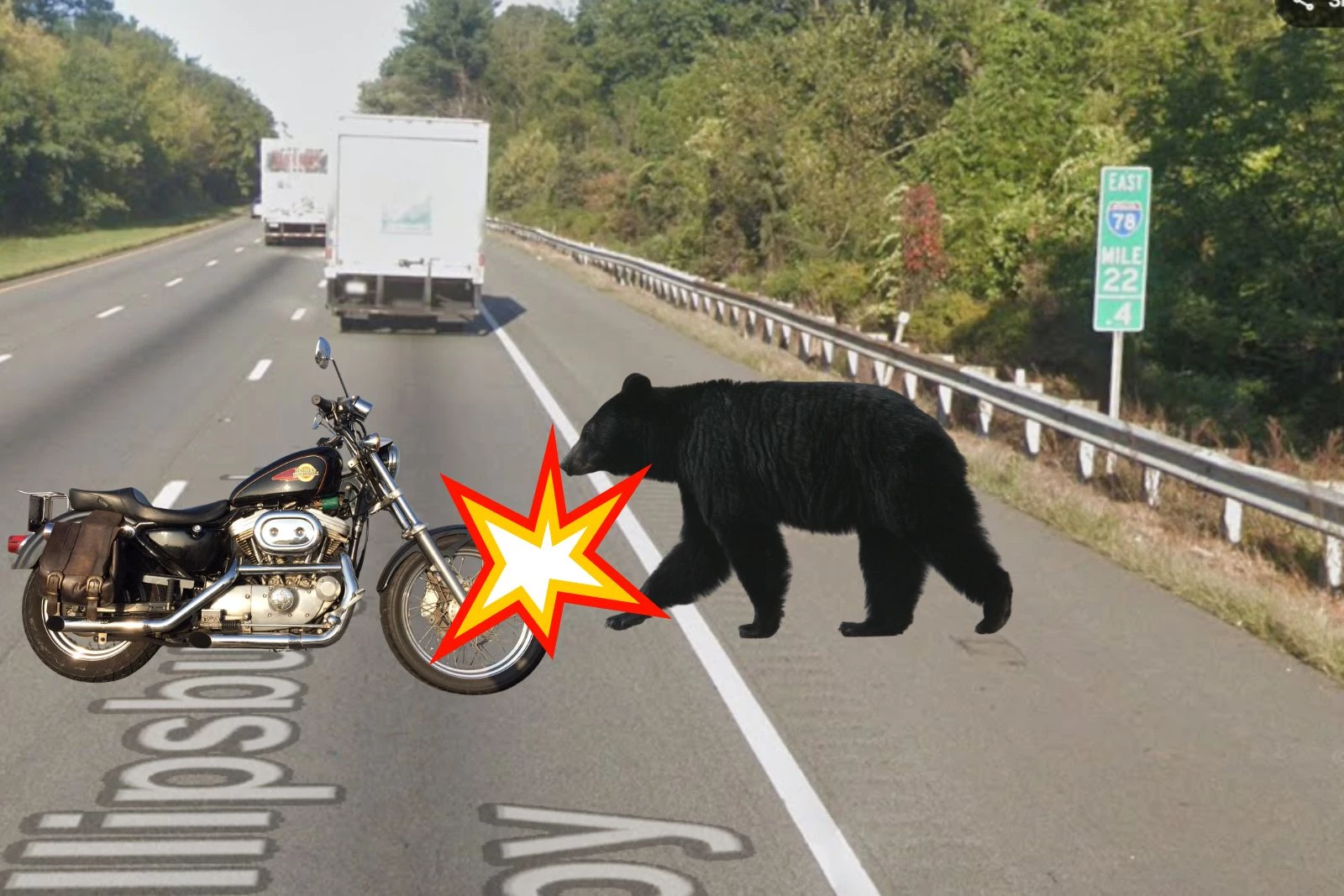 Bear wanders onto Route 78, triggering violent motorcycle crash
