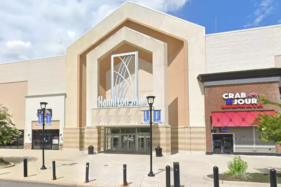 Hamilton Mall Mays Landing 2023 image Google Maps