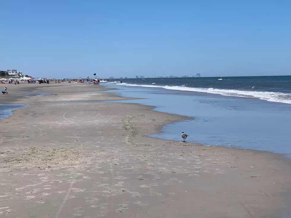 warm water and calm seas in Strathmere 6/13/26 | photo by EJ