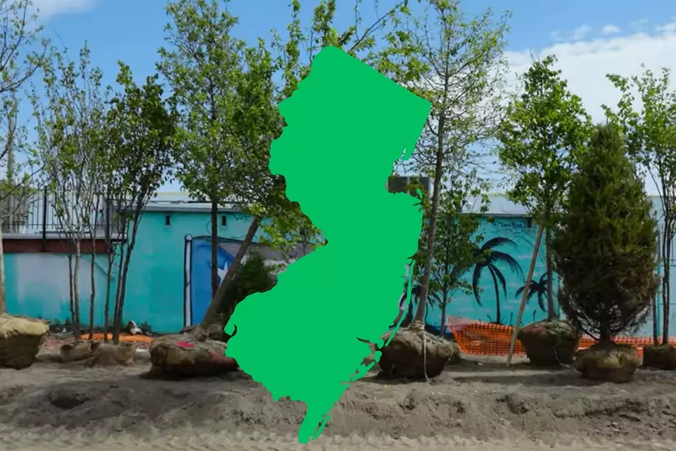 How you can help name NJ’s newest state park