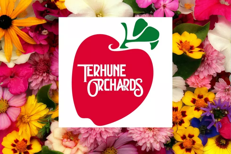 Flower Festival at Terhune Orchards (Facebook/Canva)