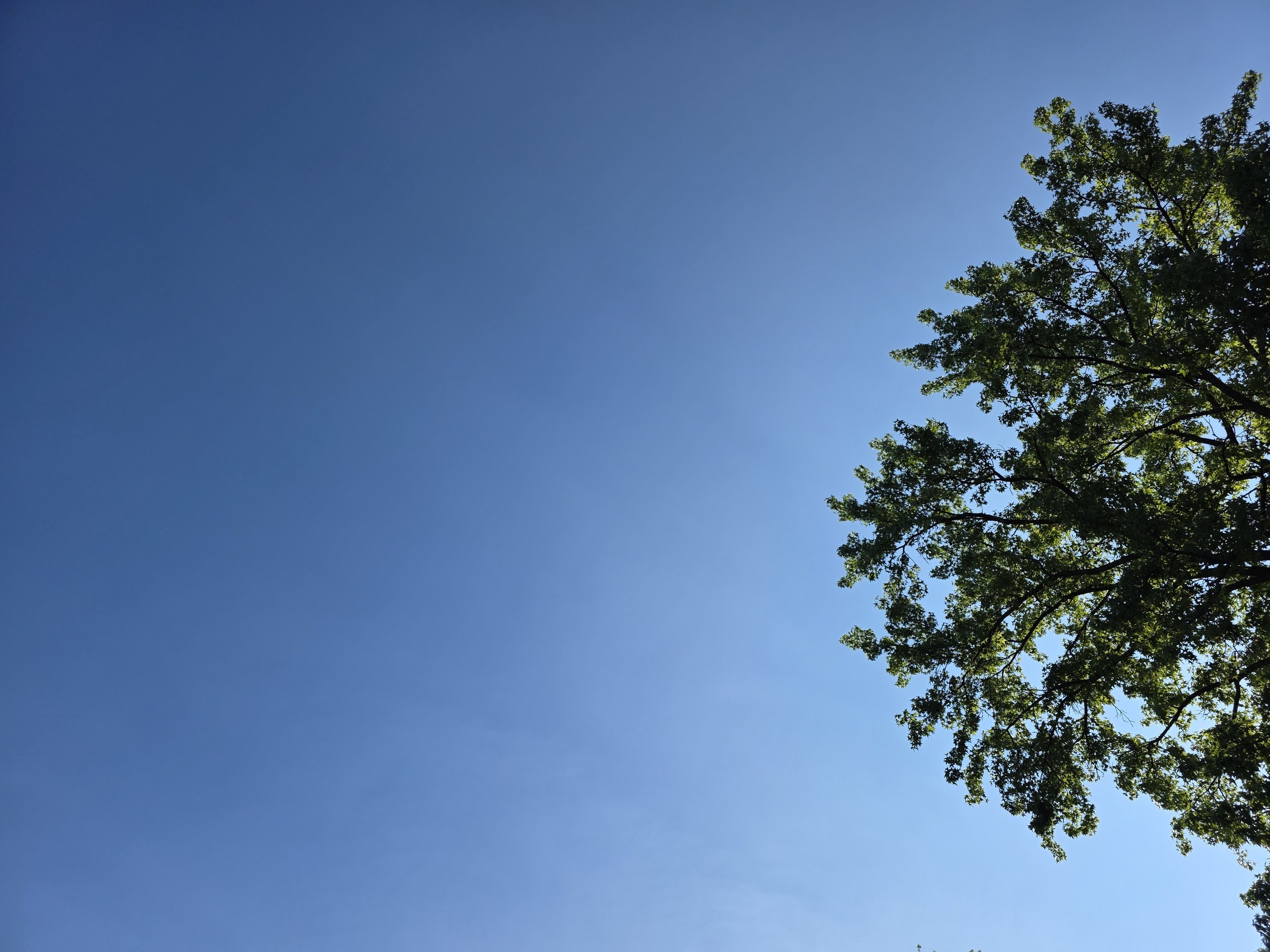 Clear blue skies over New Jersey with sunny summer weather