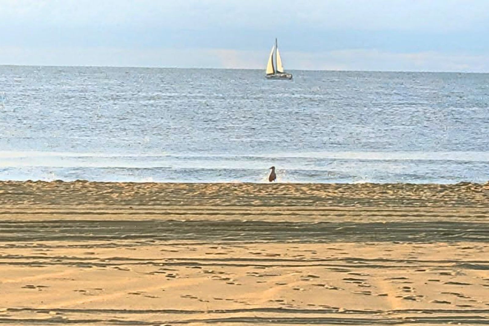 NJ beach weather and waves: Jersey Shore Report for Friday news image