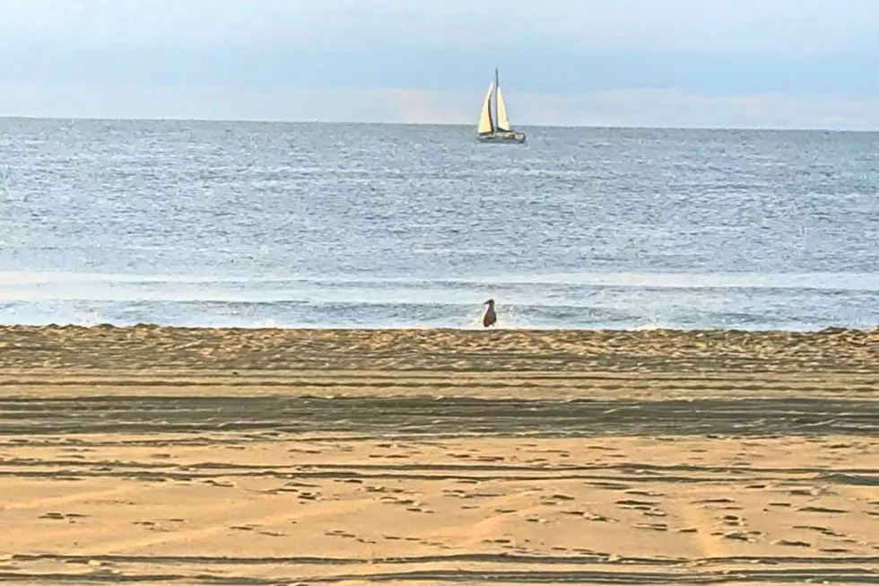 NJ beach weather and waves: Jersey Shore Report for Friday