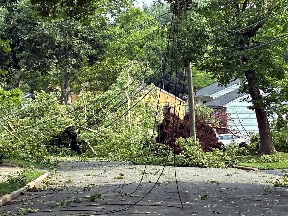 Fallen trees in Paramus Sunday, July 5, 2026