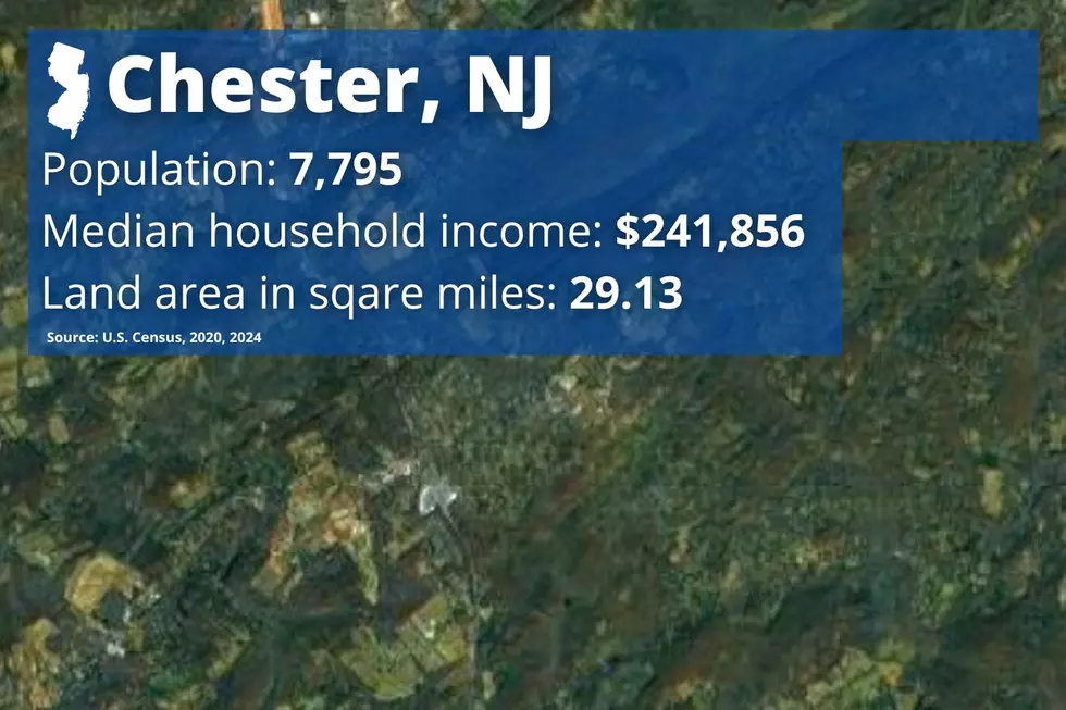Chester Township is an affluent town in Morris County, NJ (Google Maps)