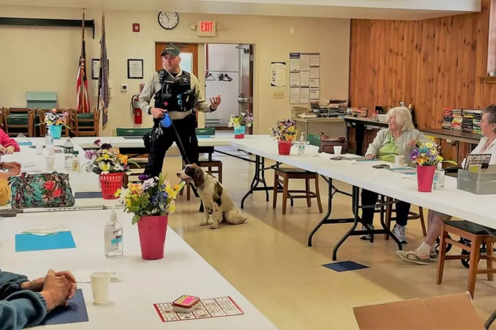 Sgt. Cody Henderson and K9 Boomer during a demonstration in 2023