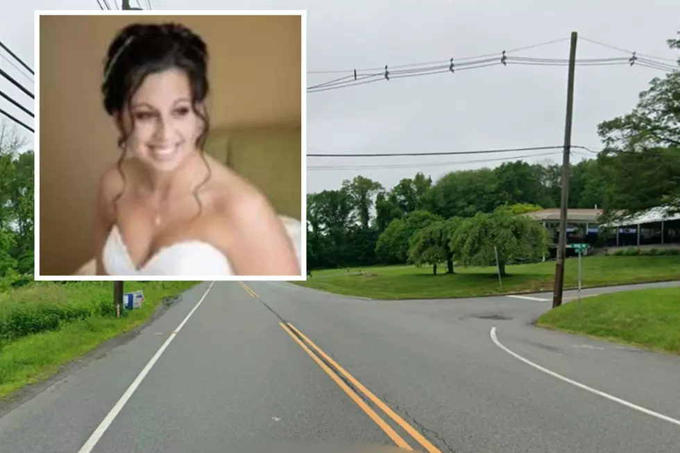 Husband left to raise 2 sons alone after repeat drunk driver kills NJ mom